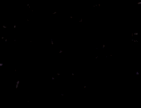 1asp174.gif