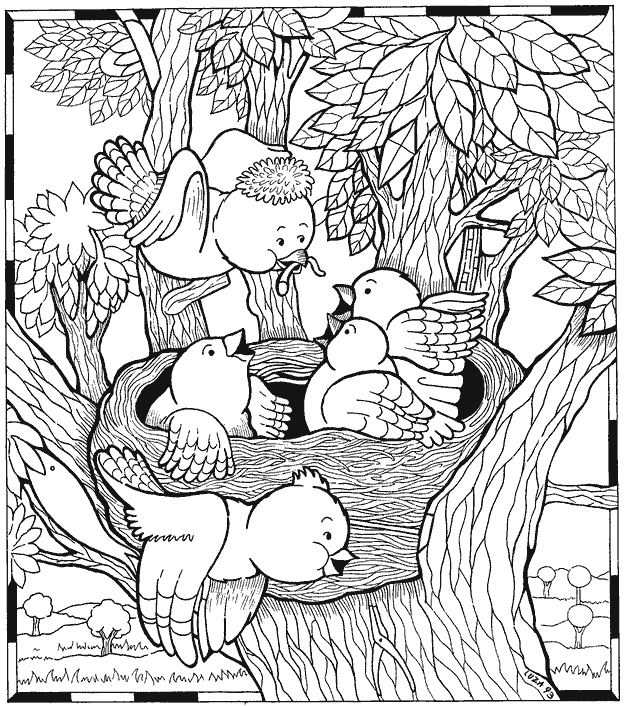 Birdfamilyhidden.gif